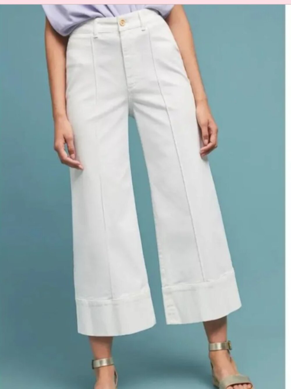 Chino Anthropologie White Wide Leg High Ride Capri Pants sz 4